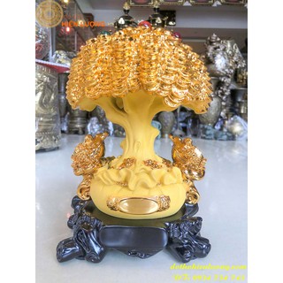 Cây Kim Tiền Bằng Đá