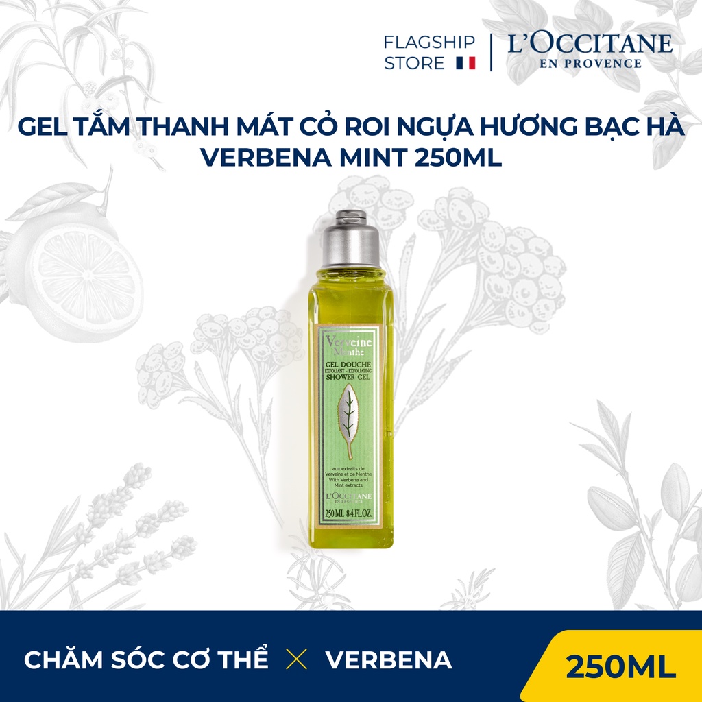 Gel Tắm Thanh Mát Hương Bạc Hà Cỏ Roi Ngựa Verbena Mint Shower Gel 250ml L'Occitane