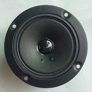 Bộ 2 loa treble tép phi 10 nam châm kép