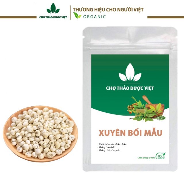 Xuyên bối mẫu 100g (Bối mẫu tứ xuyên) - Chợ Thảo Dược Việt