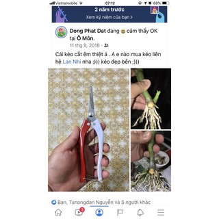 KÉO CẮT CÀNH, Tách chiếc lan mũi nhọn
