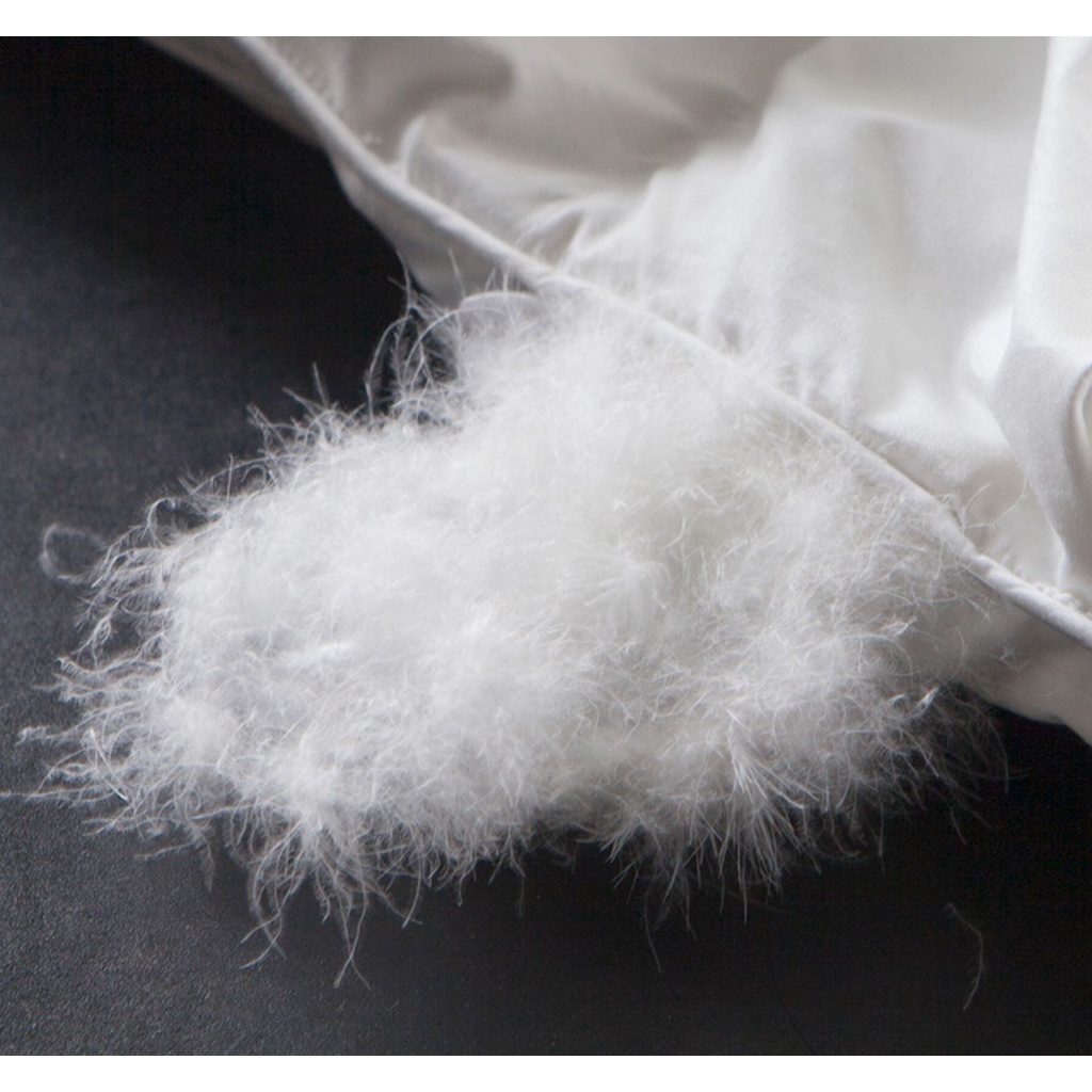 Passion Ruột Chăn Lông Ngỗng Khách Sạn 95% Lông Down Cao Cấp