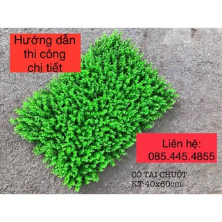cỏ tai chuột treo tường nhân tạo khổ 40-60 màu xanh nõn