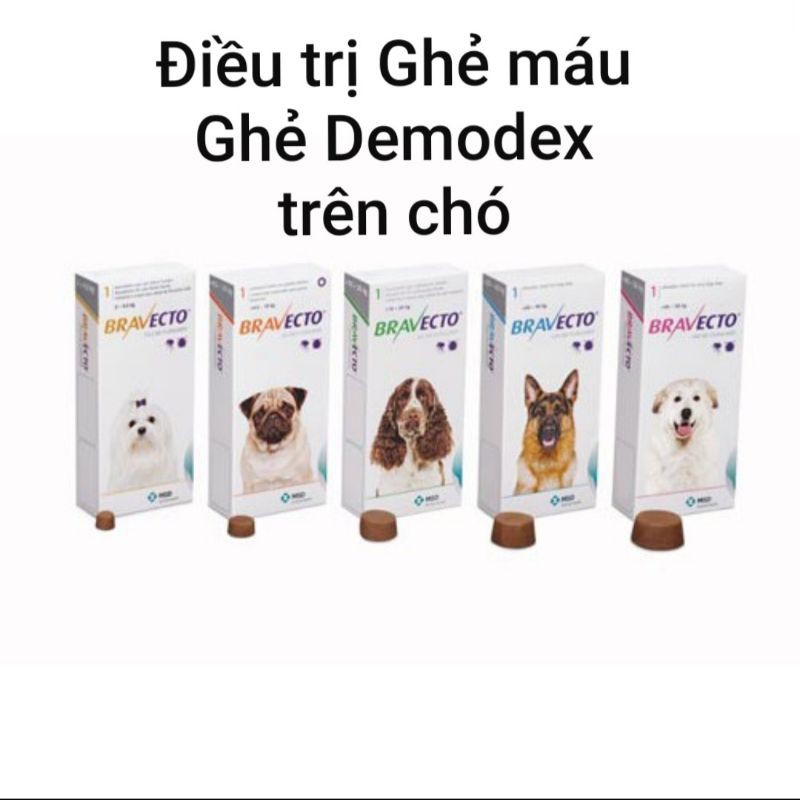 BRAVECTO - bảo vệ cún không bị ghẻ DEMODEX, ve rận, bọ chét