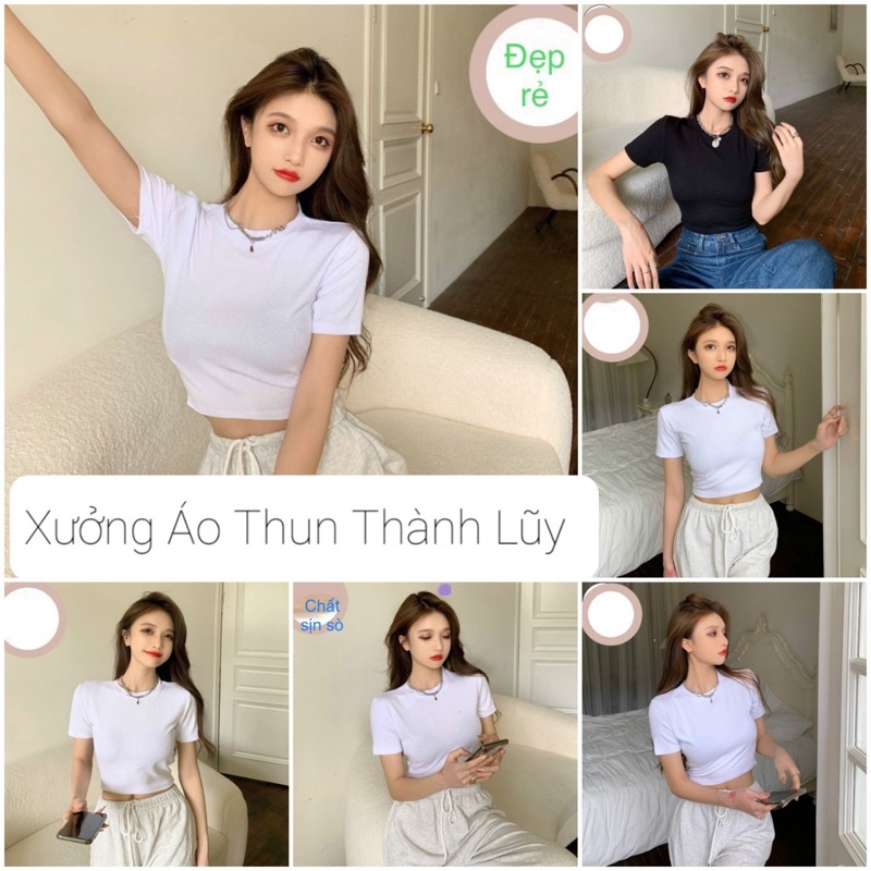 ÁO CROPTOP CỔ TRÒN TAY NGẮN TRƠN CHUẨN PHOM TÔN DÁNG