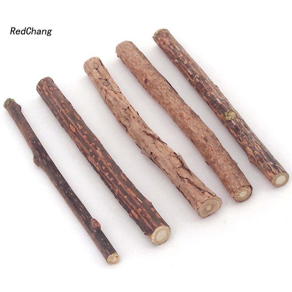 Set 5 thanh gỗ bạc hà làm sạch răng cho mèo