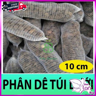 Phân Dê Túi Lưới ⚜️FREESHIP⚜️ Bón Lan combo 20 túi 10cm Tiện Dụng [ Đã Xử Lý Nấm ]