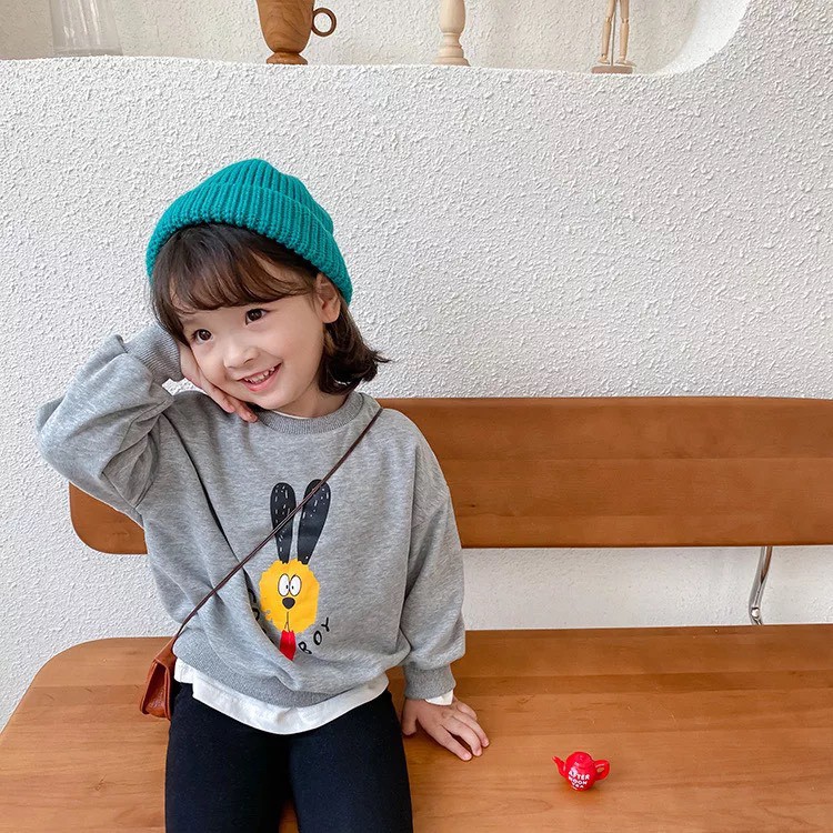 Áo nỉ cho bé, Áo nỉ Hoddie Ambb Kids Quảng Châu cho bé gái/ trai - kèm clip, ảnh thật