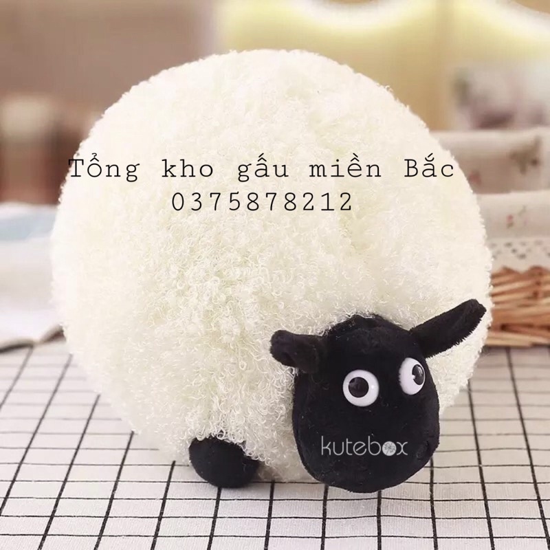 Cừu con sheep