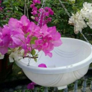 10 Chậu tặng quai treo xích rộng 28cm x12cm