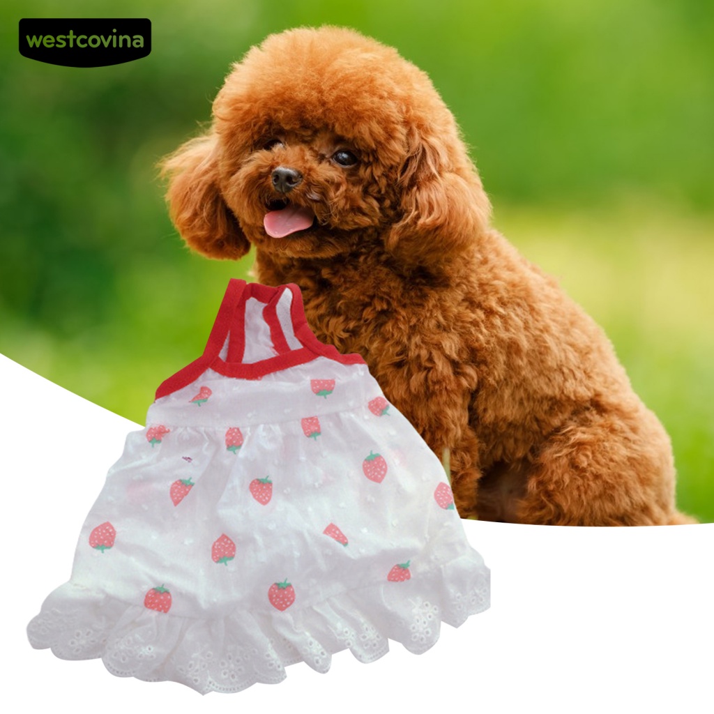 (MớI) Đầm Hai Dây Có Thể Giặt Cho Thú Cưng