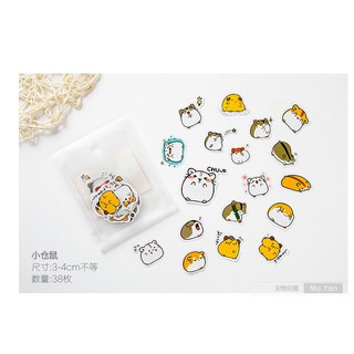 Washitape 20k