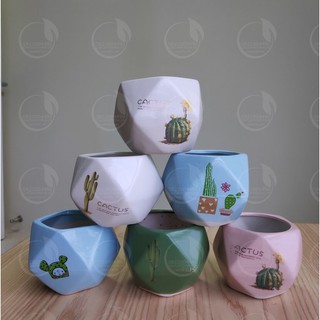 Chậu mini 5 cạnh - Chậu mini - Chậu trồng cây để bàn, cây mini, cây phong thủy, cây nội thất