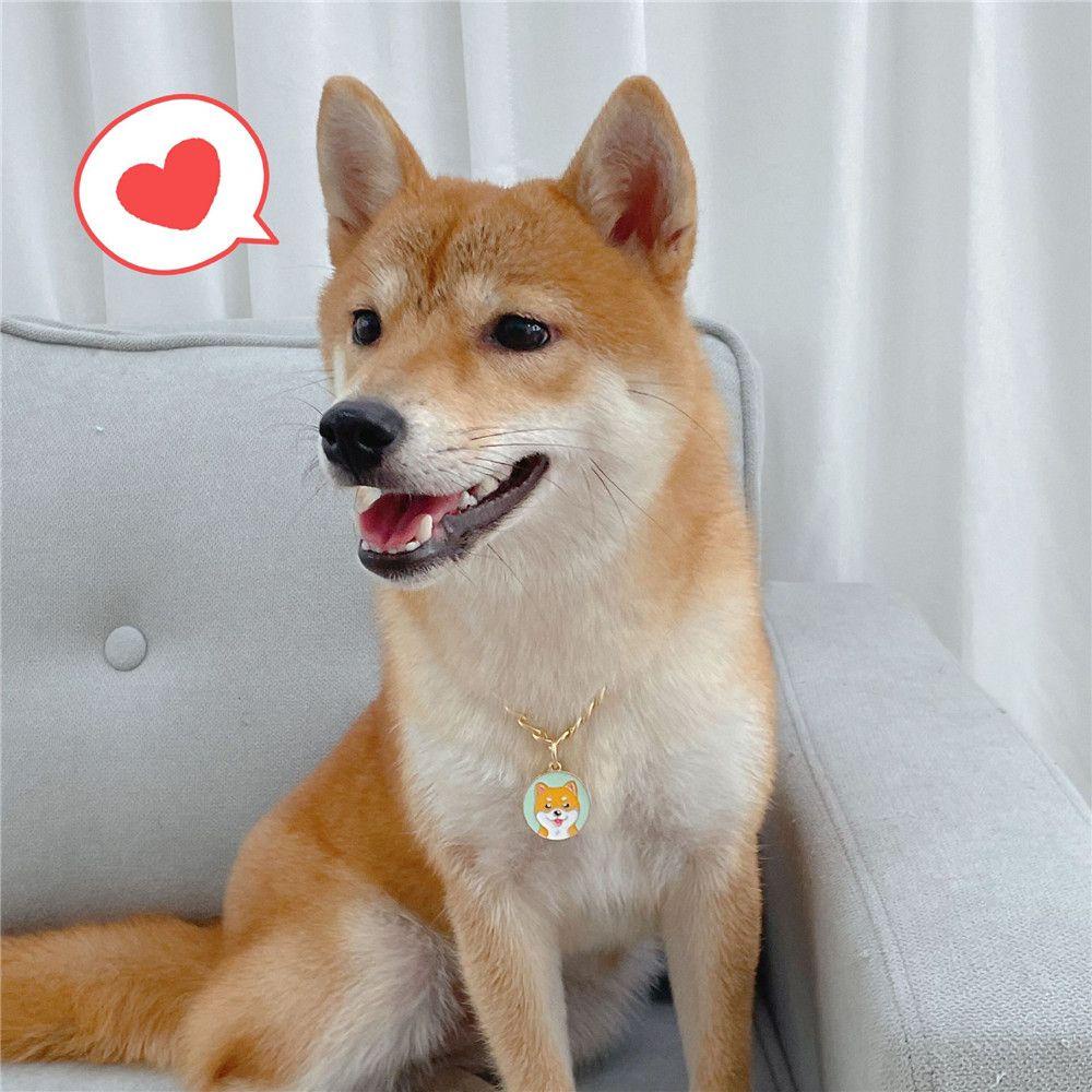 Vòng Cổ Có Khóa Cho Thú Cưng|Dây Chuyền Xích Thời Trang Cá Tính