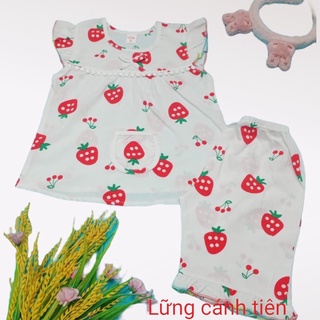 Bộ đồ tole lanh lửng bé gái đủ size