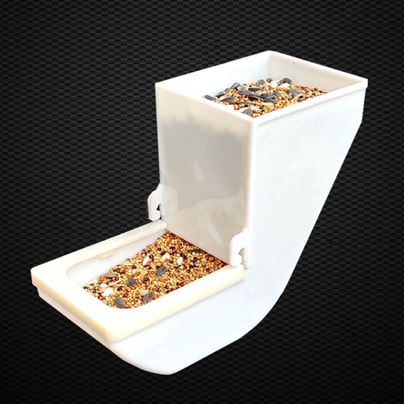 Hộp Đựng Thức Ăn Cho Chim Vẹt Màu Xanh Lá