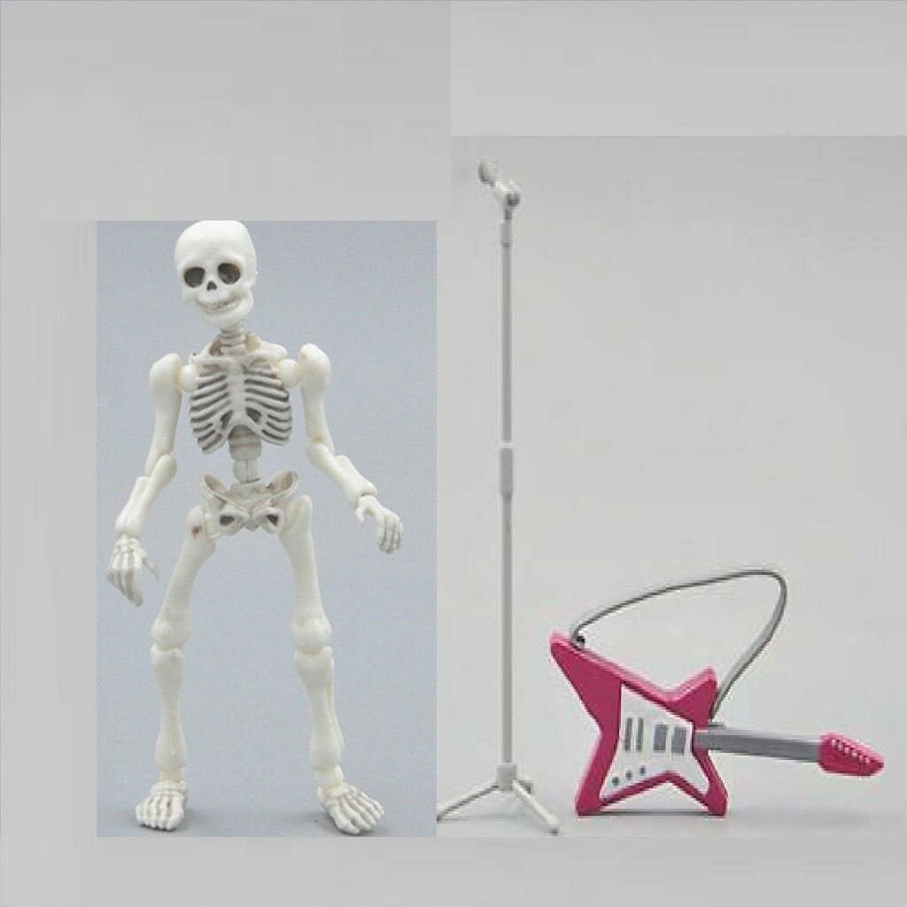 Mô Hình Bộ Xương Người Linh Hoạt
