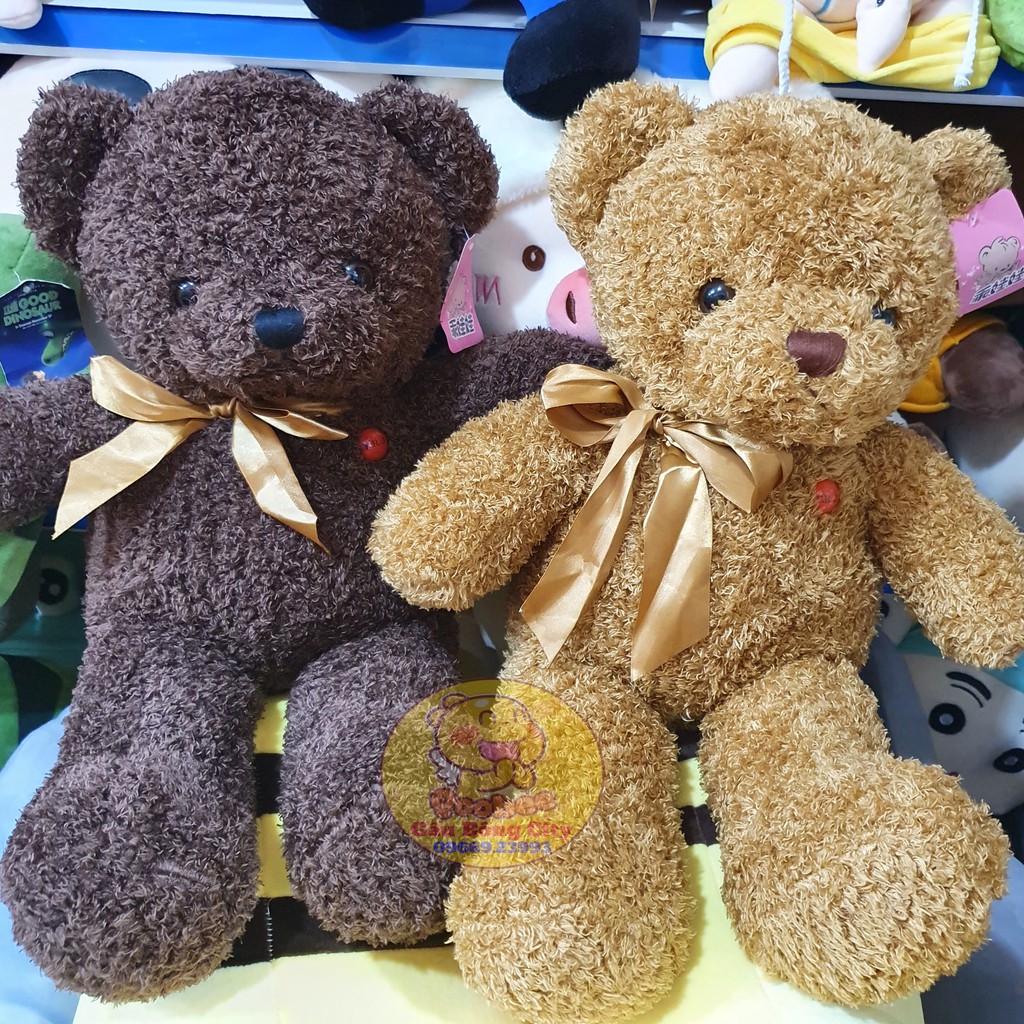 Gấu Bông Teddy Chỉ Cao Cấp Mềm Mịn