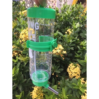 Bình bi 250ml uống nước cho tất cả các dòng chim, vẹt, hamter, thỏ, nhím, sóc