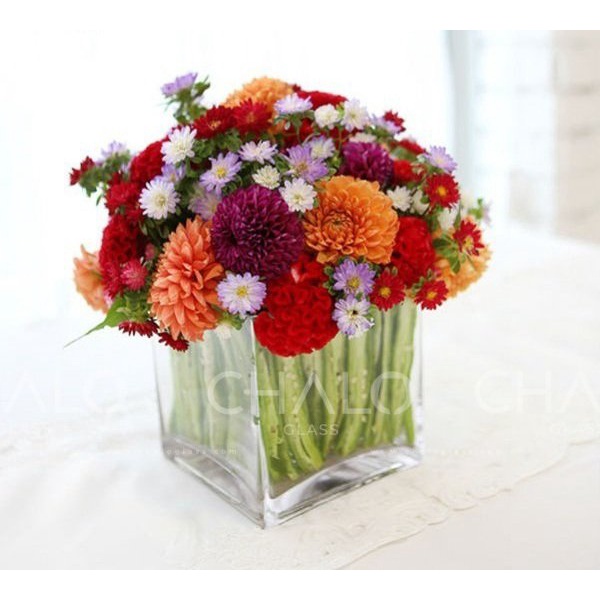 Lọ ống thủy tinh vuông - Trụ thủy tinh VUÔNG cắm hoa, trang trí, nuôi cá, thủy sinh 10 x 10/15/20cm