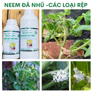 DẦU NEEM ĐÃ NHŨ HOÁ sz 1LIT