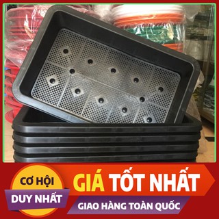 Combo 5 Khay Nhựa Trồng Rau - Nuôi Cá Thông Minh (68x42x17cm)