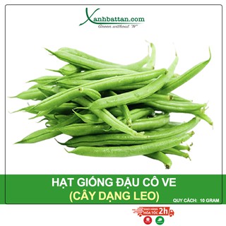 Hạt Giống Đậu Cove Trắng Dạng Leo Phú Nông Gói 10 gram