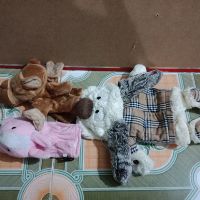 Gấu bông khách ngọc