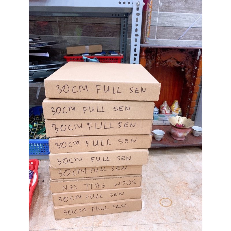 Hào quang led full 30cm