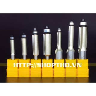 Mũi phay thẳng ARDEN 0201 - bi dưới chuyên dùng để chép hình