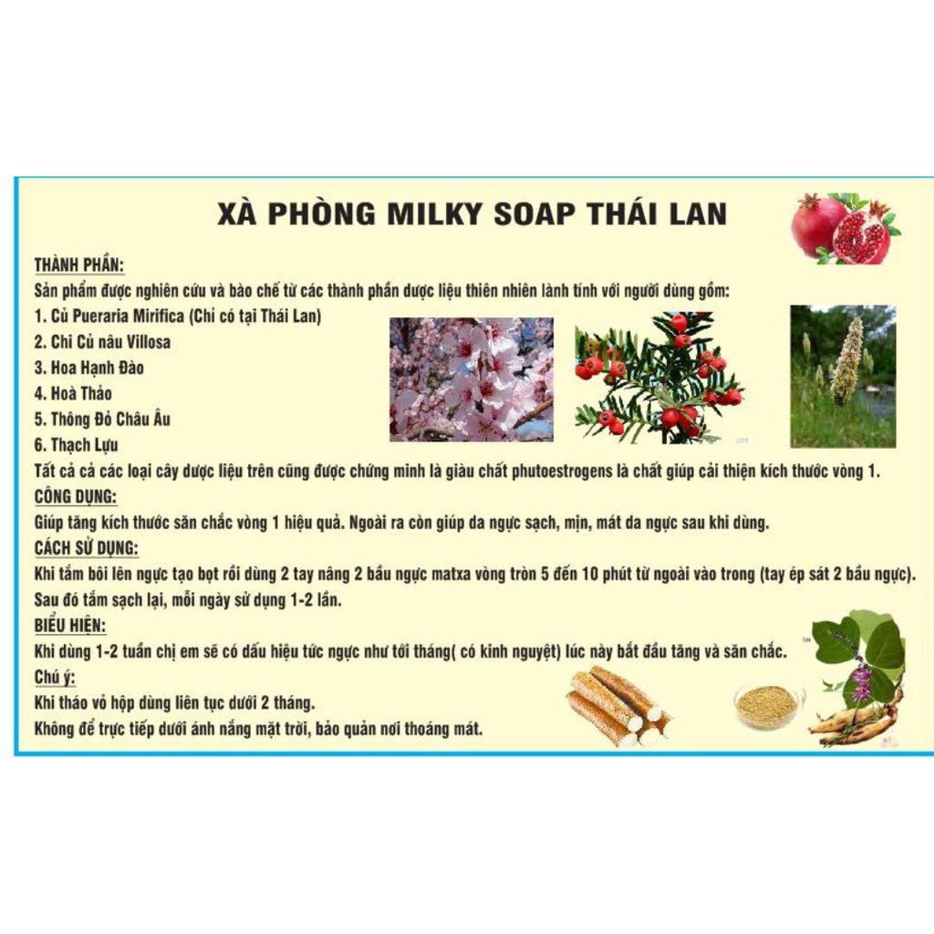 SHOP NGUYỄN NHƯ THỦY - Liệu trình 30 ngày) xà phòng Milky soap + 3 hộp viên uống  Sk.Herb Thái Lan (1 hộp 10 viên) | BigBuy360 - bigbuy360.vn