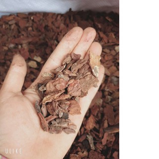 10kg Vỏ thông đỏ Quảng Bình ( #vattu, #caycanh,#bau)