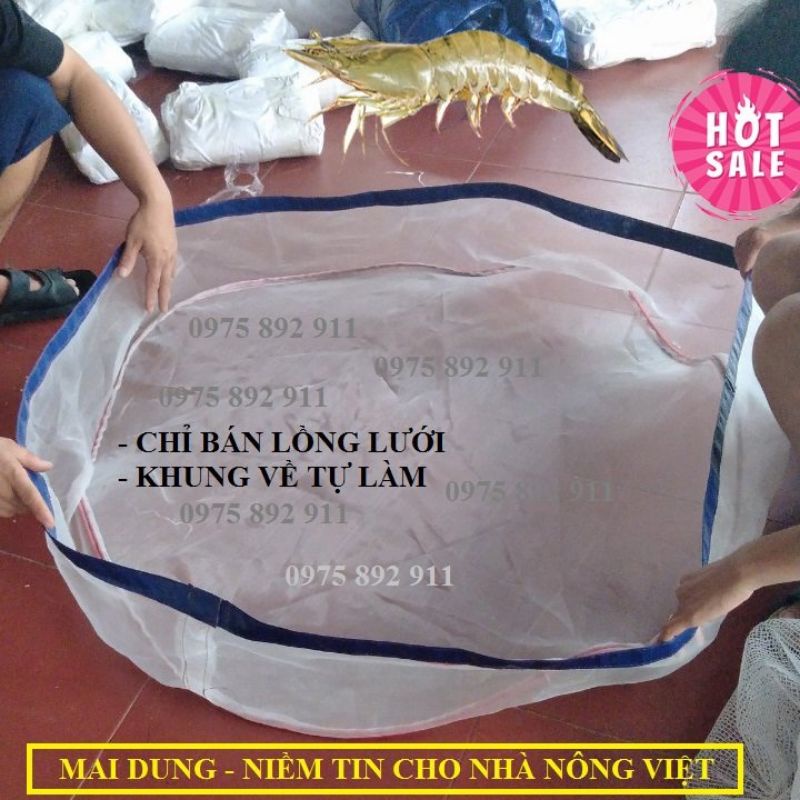 Lồng lưới kiểm tra nuôi tôm cua cá - khi cho ăn