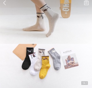 [ Xả Kho ] Combo 5 đôi tất nữ hình siêu kute