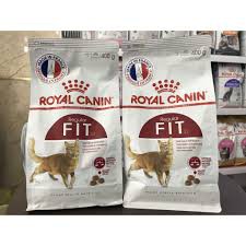 Thức ăn cho mèo Royal Canin Fit 32 gói 400g