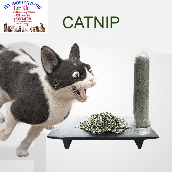 Ống cỏ Cat Mint cho Mèo Ống 10g Giúp thú cưng thư giãn, Xả stress, Bổ sung vitamin,Cân bằng dinh dưỡng, Tốt cho tiêu hóa