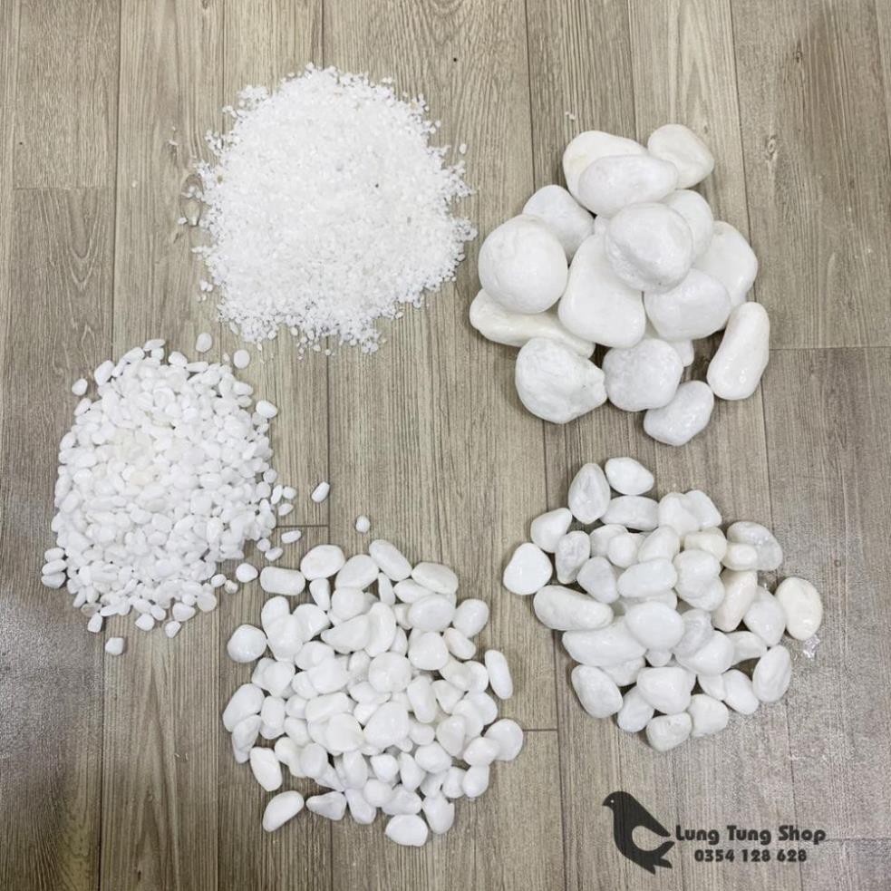 [ Nhiều size ] Đá sỏi trắng trang trí ( chọn size )