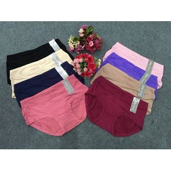 Quần lót Big Size Sisterhood 3044, quần cotton co dãn thấm hút mồ hôi