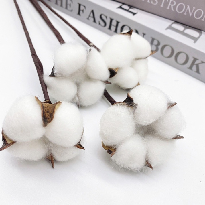 HOA BÔNG GÒN TRANG TRÍ – CÀNH HOA BÔNG GÒN TRANG TRÍ HANDMADE