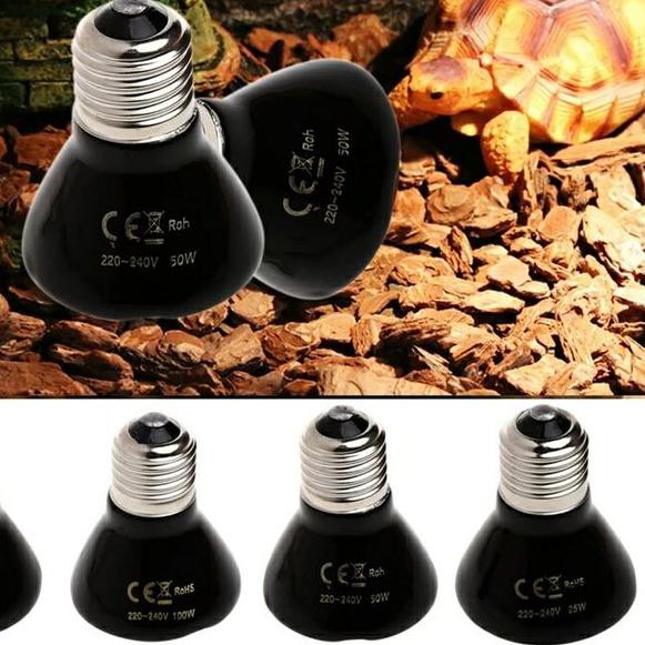 Máy Sưởi Hồng Ngoại Bằng Gốm Sứ 25 Watt - Trung Bình E27