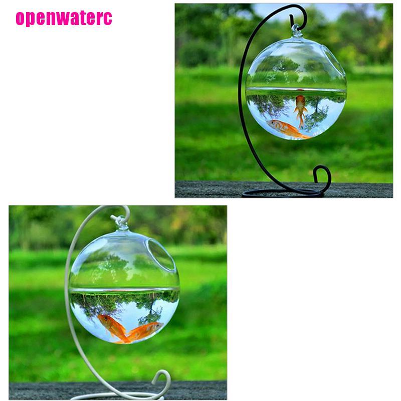 Chậu Kính Trồng Cây Thủy Sinh Treo Tường Trang Trí Nhà Cửa Diy