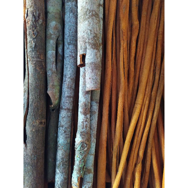 Vỏ quế khô 500g