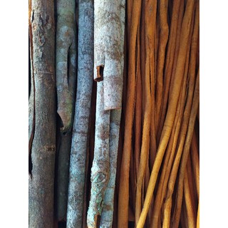 Vỏ quế khô 500g