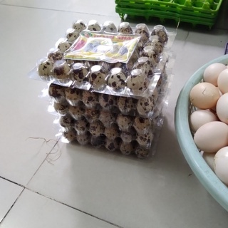 Trứng cút sạch hộp 30 quả, hàng bình ổn (Giao bằng Nowship hoặc Grab)