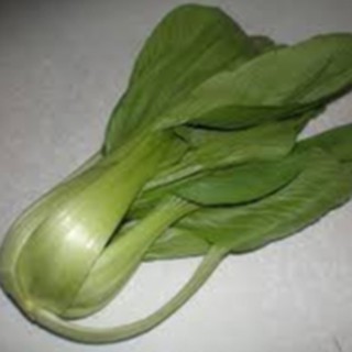 20gram HẠT GIỐNG CẢI THÌA