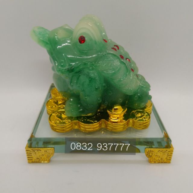 Cóc ngồi đế kính