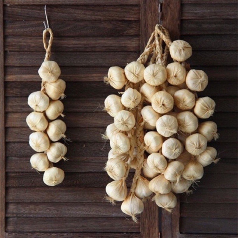 Dây hành tỏi ớt ,bắp Ngô trang trí - củ quả giả