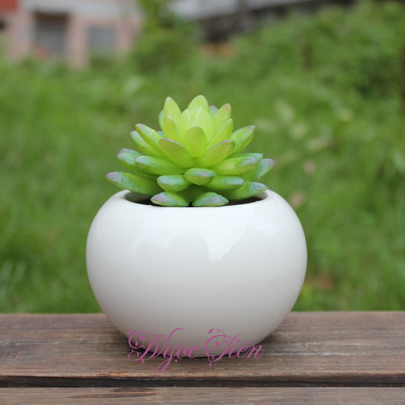 Chậu gốm sứ tráng men cao cấp