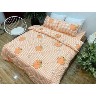 Chăn phao ga gối poly giá rẻ