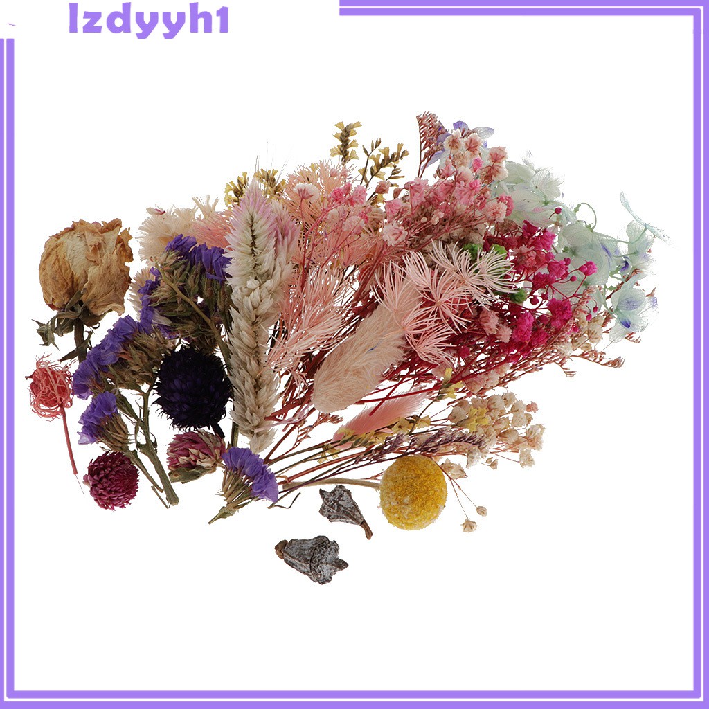 1 Hộp Hoa Khô Tự Nhiên Dùng Làm Thẻ Trang Trí Sổ Tay JoyDIY